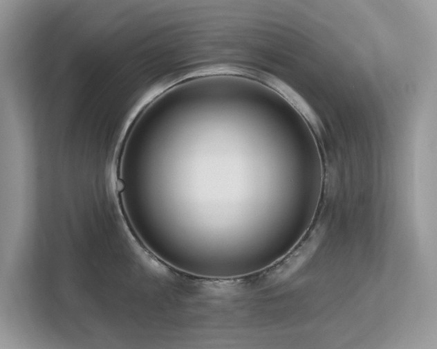 X0000112940813200908241319