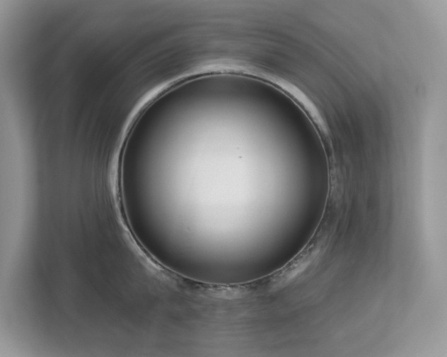 X0000112940815200908241319