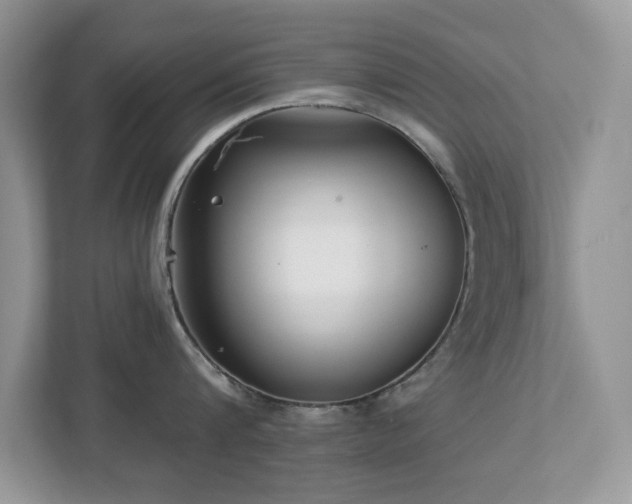 X0000112940816200908241319