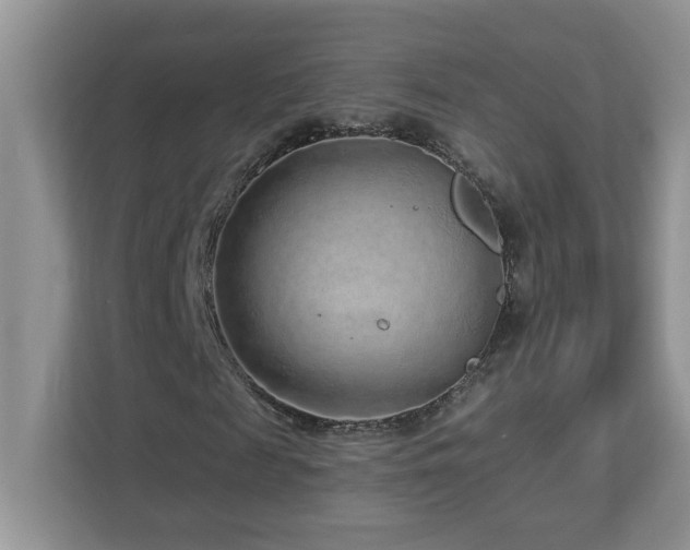 X0000112940817200908241318