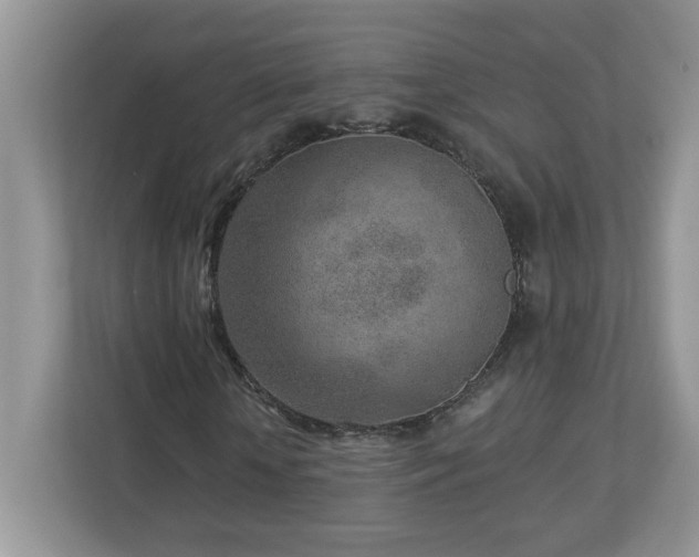 X0000112940818200908241318