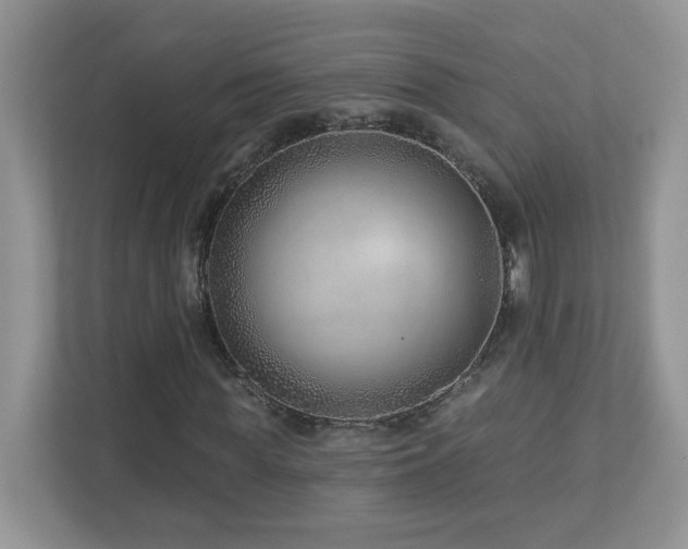 X0000112940819200908241318