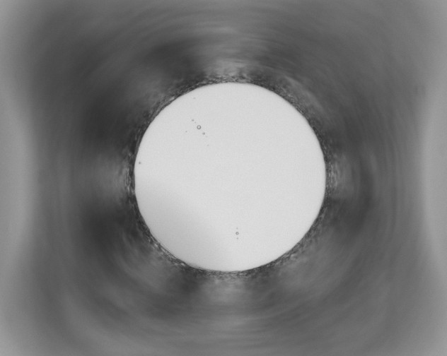 X0000112940820200908241318