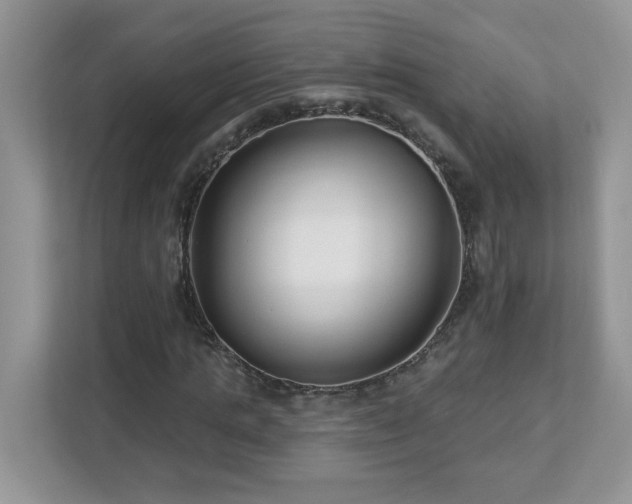 X0000112940821200908241318