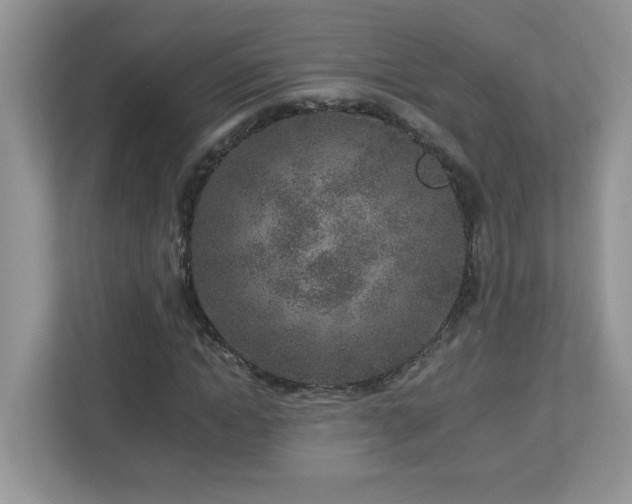 X0000112940822200908241318