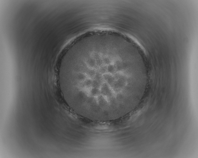 X0000112940823200908241318