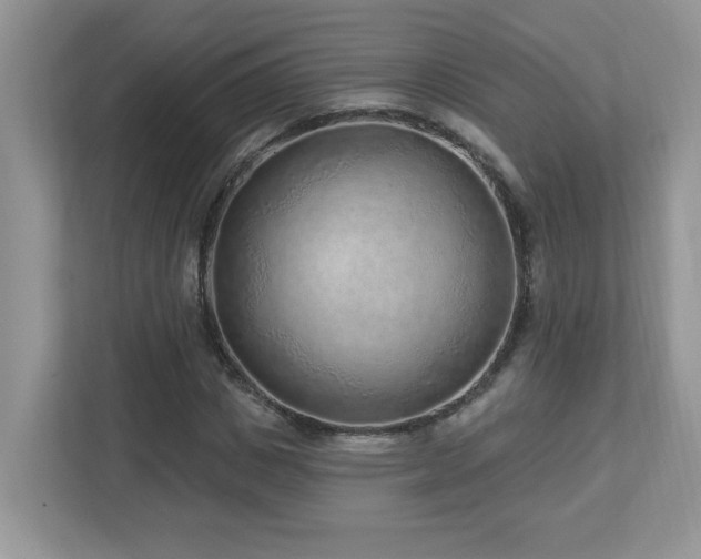 X0000112940825200908241318