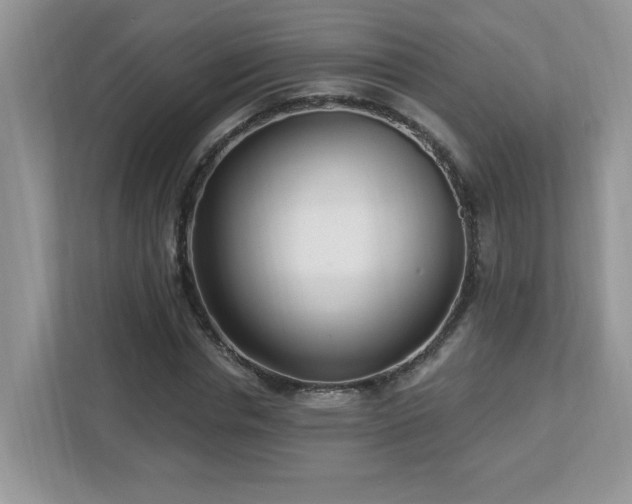 X0000112940826200908241318