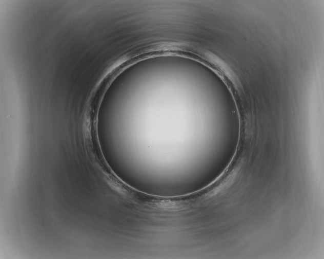 X0000112940827200908241318
