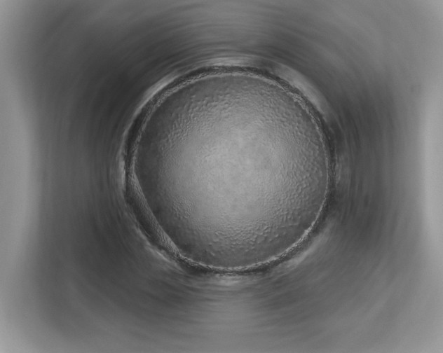 X0000112940829200908241318