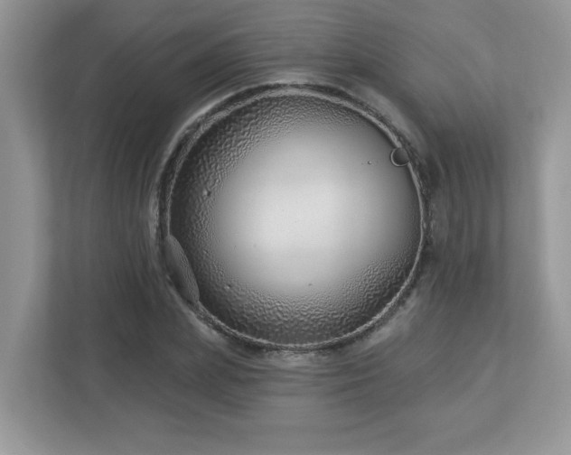 X0000112940831200908241318