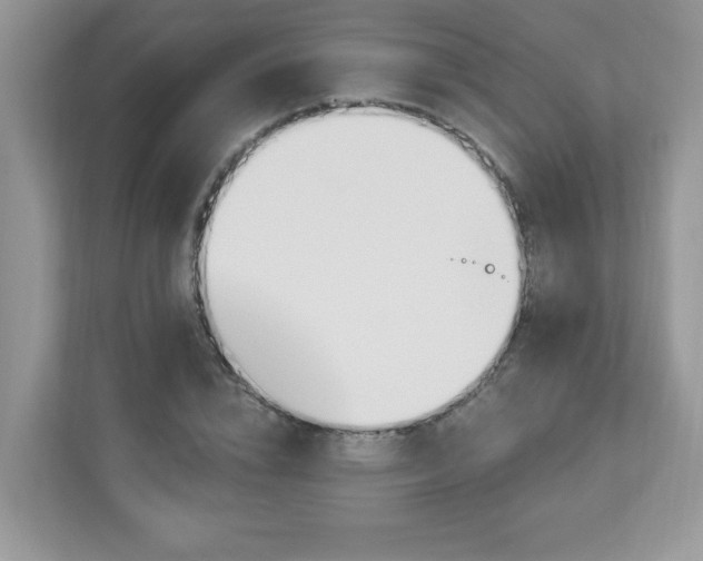 X0000112940832200908241318