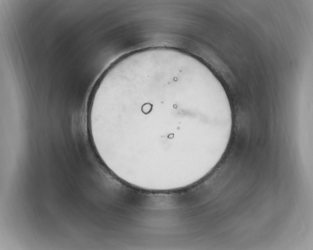 X0000112940836200908241319