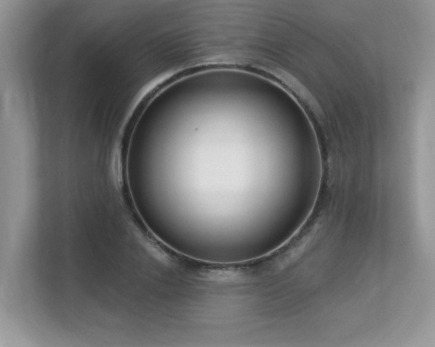 X0000112940838200908241319