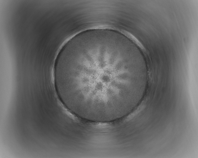 X0000112940839200908241319