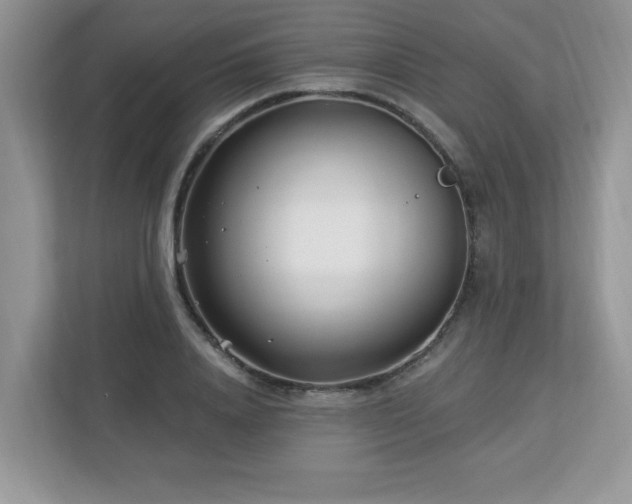 X0000112940840200908241319