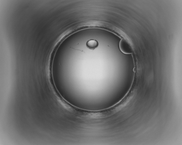 X0000112940845200908241319