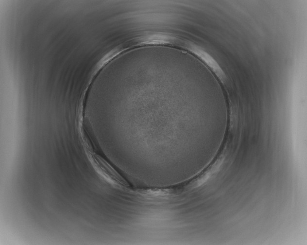 X0000112940850200908241319