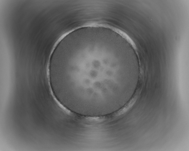 X0000112940855200908241319