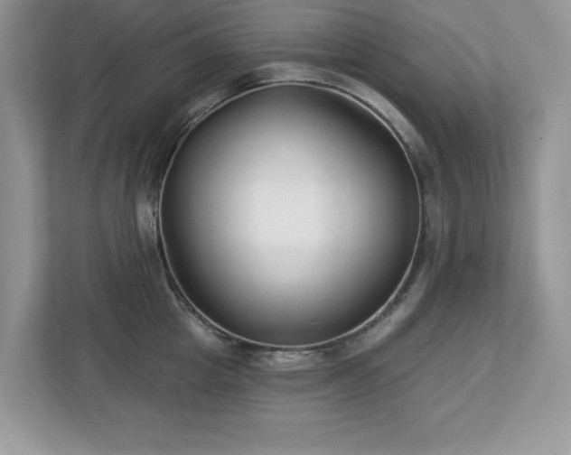 X0000112940857200908241319