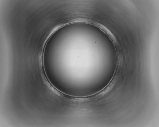 X0000112940860200908241319