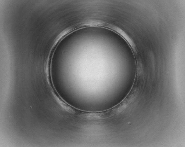 X0000112940861200908241319