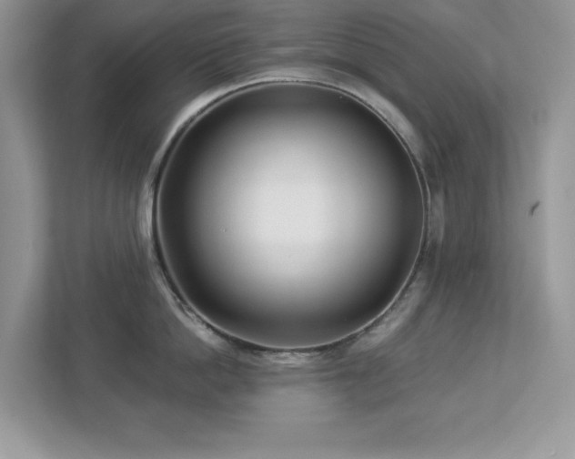 X0000112940862200908241319