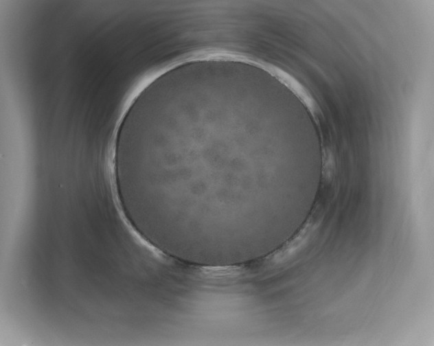 X0000112940863200908241319