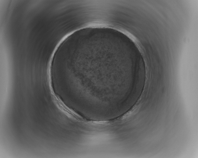 X0000112940864200908241319