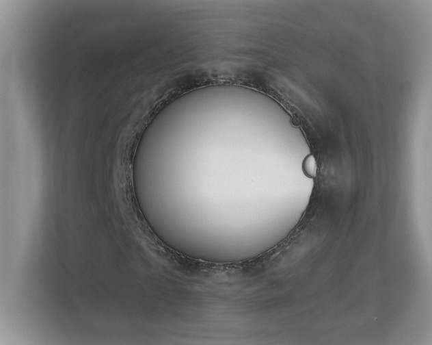 X0000112940865200908241318