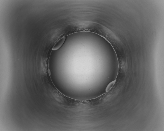X0000112940868200908241318