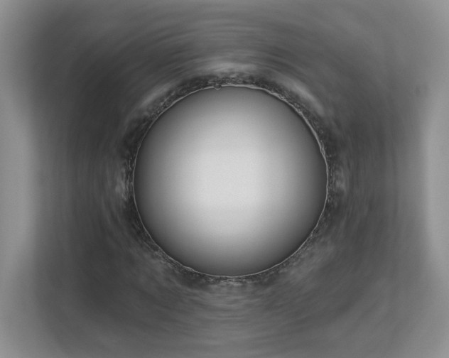 X0000112940869200908241318