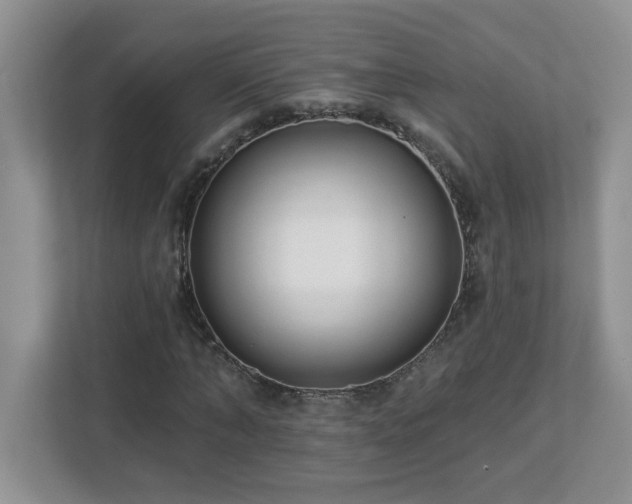 X0000112940870200908241318
