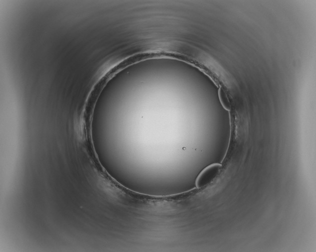 X0000112940876200908241318