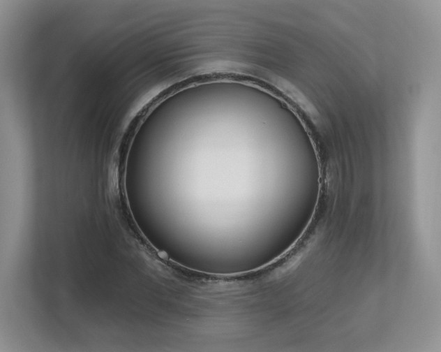 X0000112940877200908241318