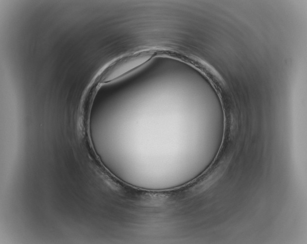 X0000112940878200908241318