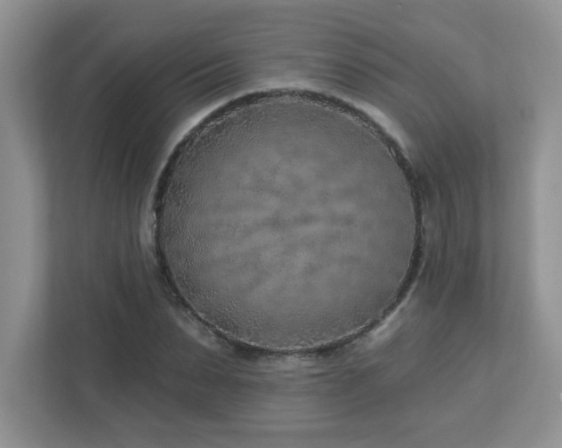 X0000112940879200908241318