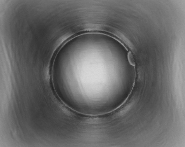 X0000112940885200908241318