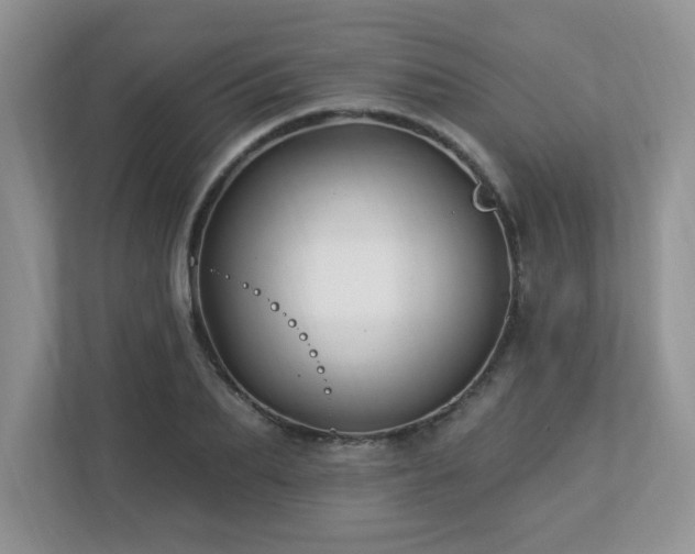 X0000112940887200908241318