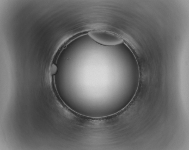 X0000112940888200908241318