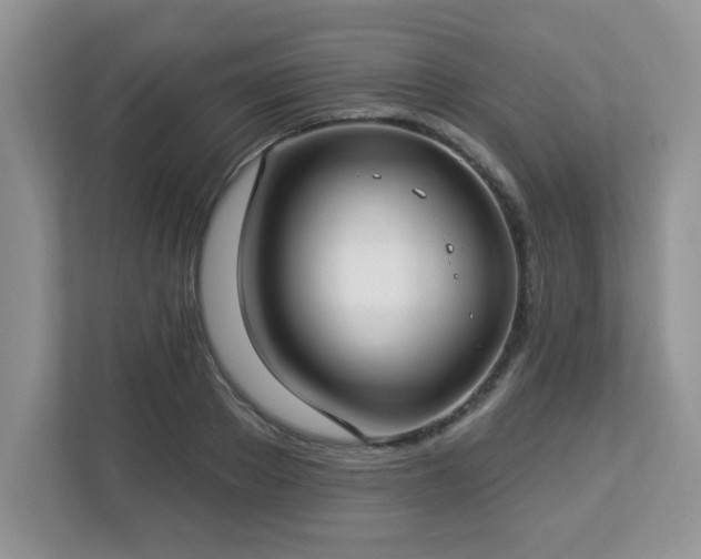 X0000112940889200908241318