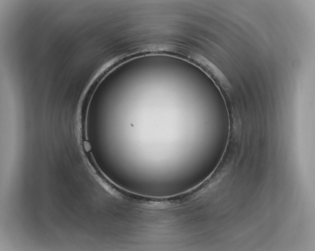 X0000112940894200908241318