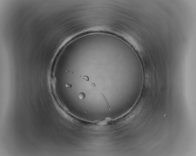 X0000112940895200908241318