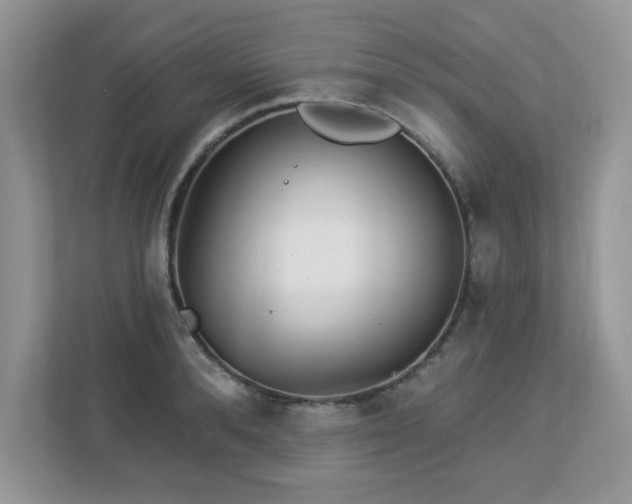 X0000112940896200908241318