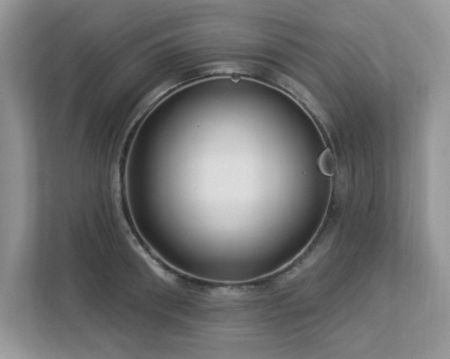 X0000112940898200908241318