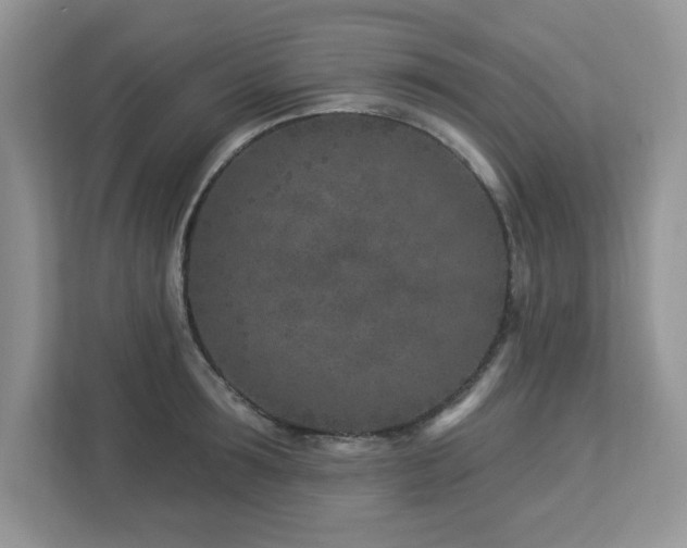 X0000112940899200908241318