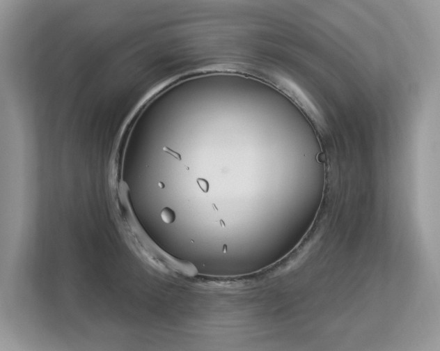 X0000112940900200908241318