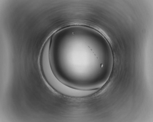 X0000112940901200908241318