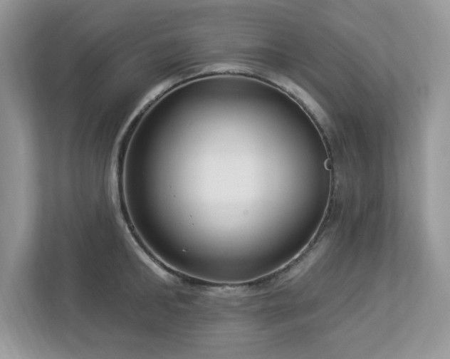 X0000112940902200908241318