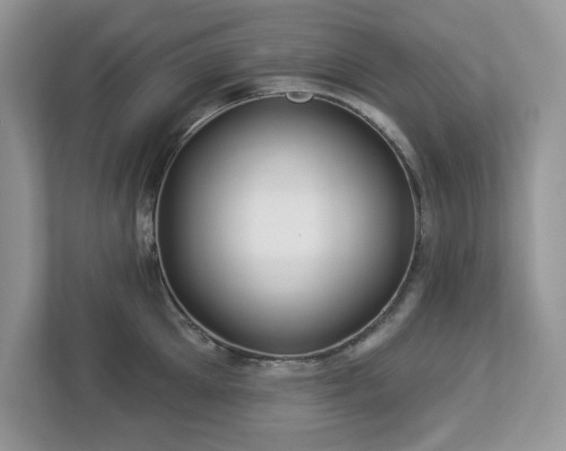 X0000112940905200908241318